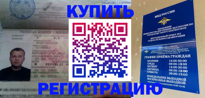 прописка законно в Королёве